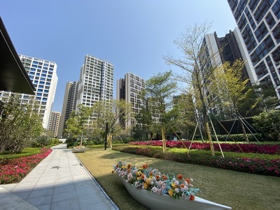 深圳:拟将既有非居住房屋改造保障性租赁住房